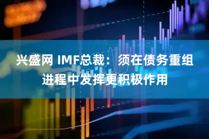 兴盛网 IMF总裁：须在债务重组进程中发挥更积极作用