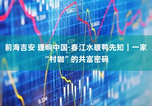 前海吉安 理响中国·春江水暖鸭先知｜一家“村咖”的共富密码
