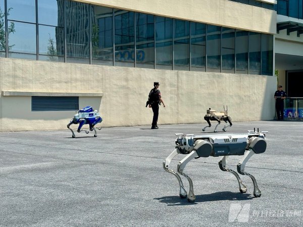 公赢网配资 全国人大代表深入一线调研 助力四川加速拥抱AI